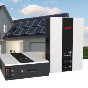 MUST 10.24Kwh 200AH 51.2V Lithium ion battery LP16-48200